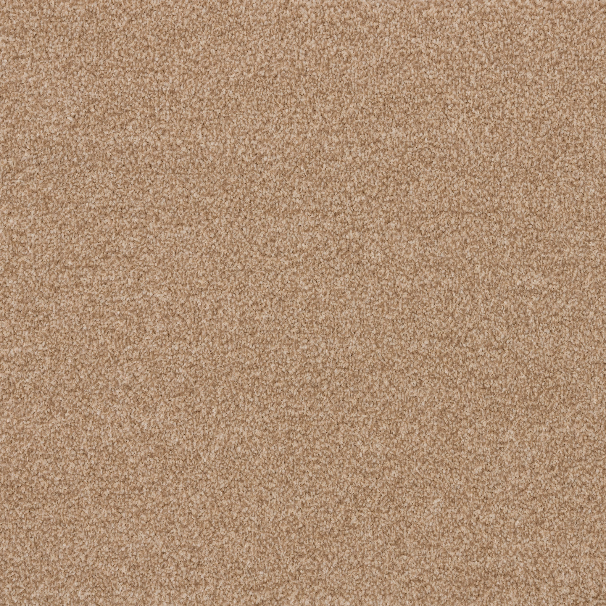 Cabana – Mid Beige 72